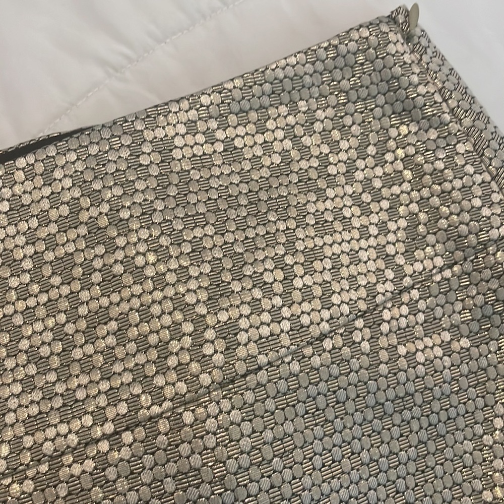 sexy shiny mini skirt Express 8